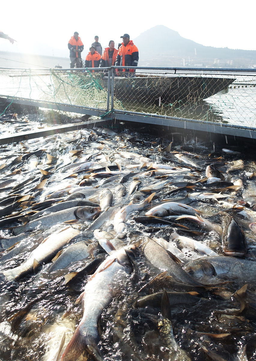 长江十年禁渔计划实施三年：经验与成效