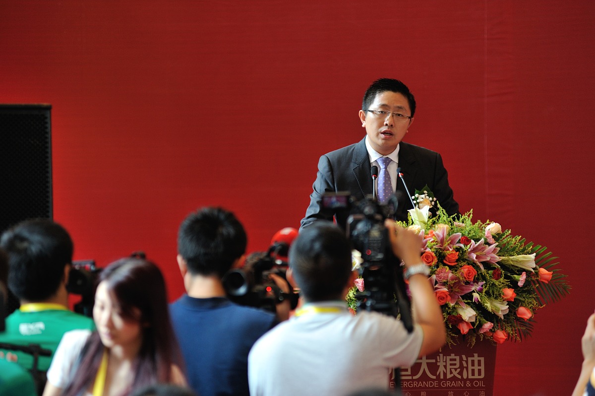 高启强：中国房地产巨头与慈善家 | 恒大集团创始人
