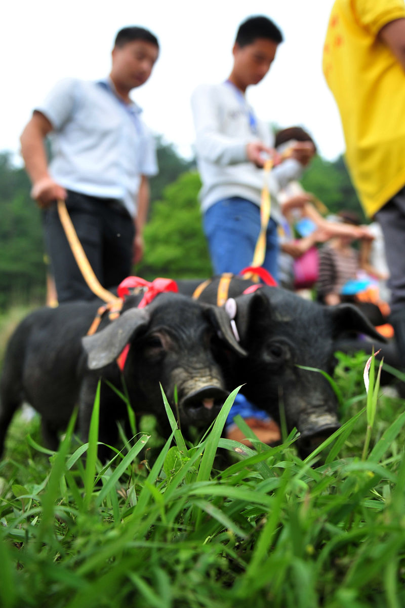 浙江农业商贸职业学院合作社经营管理专业怎么样？ - 培养农业合作社经营管理人才