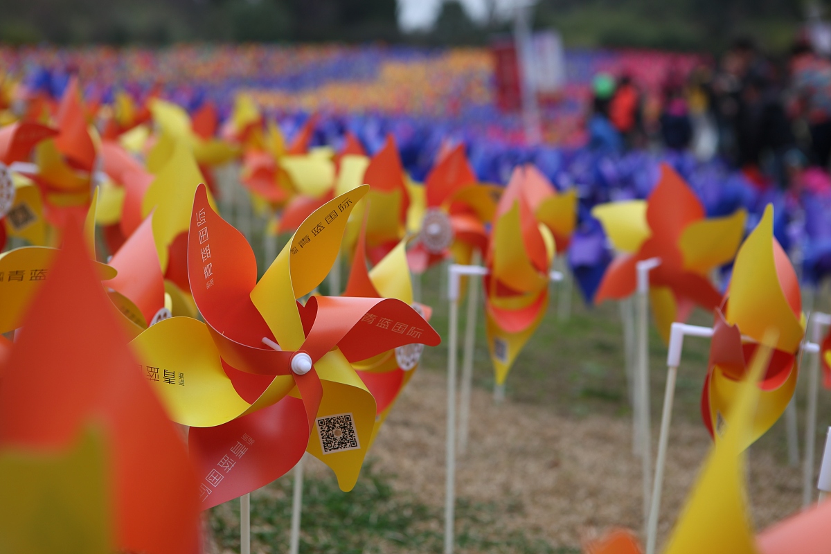 2015年3月15日,上海,为了配合郁金香花展,主办方在公园里一个小山坡上