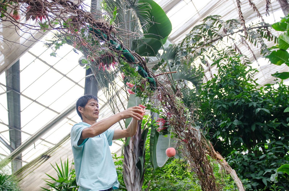 武汉市农业学校果蔬花卉生产技术这个专业好不好？这个专业好不好？