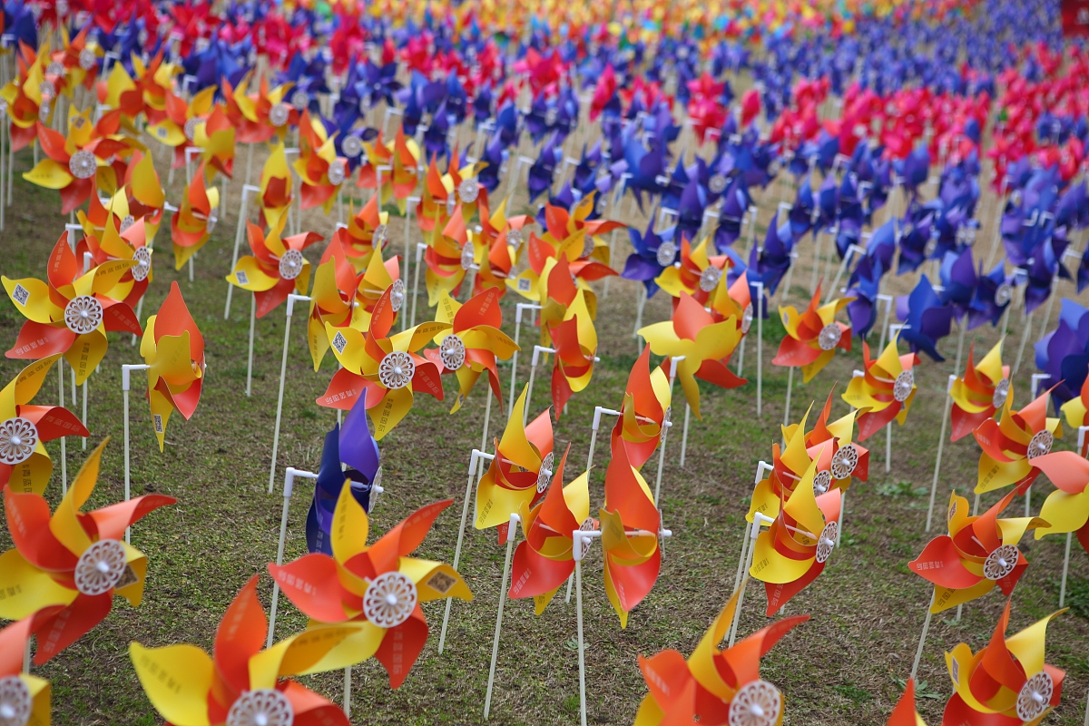 2015年3月15日,上海,为了配合郁金香花展,主办方在公园里一个小山坡上
