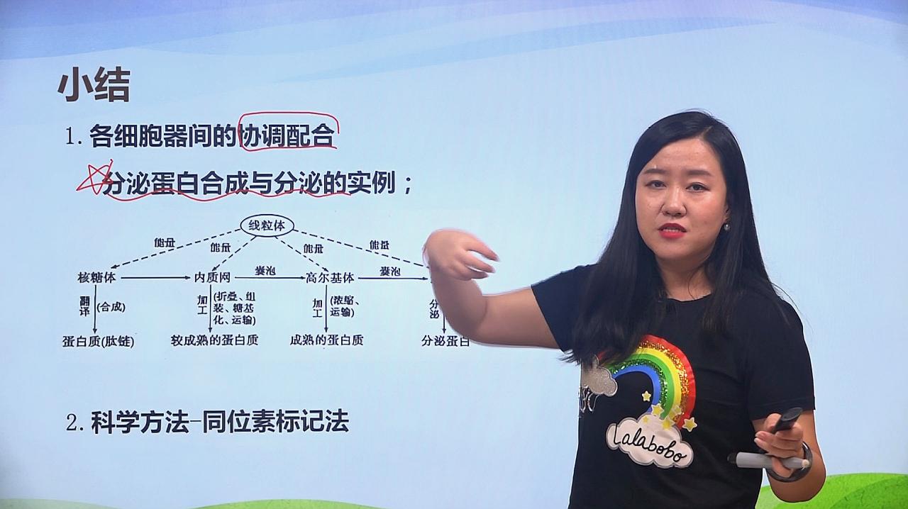 [图]高中生物必看知识点总结-细胞器的分工协作-翟思茗