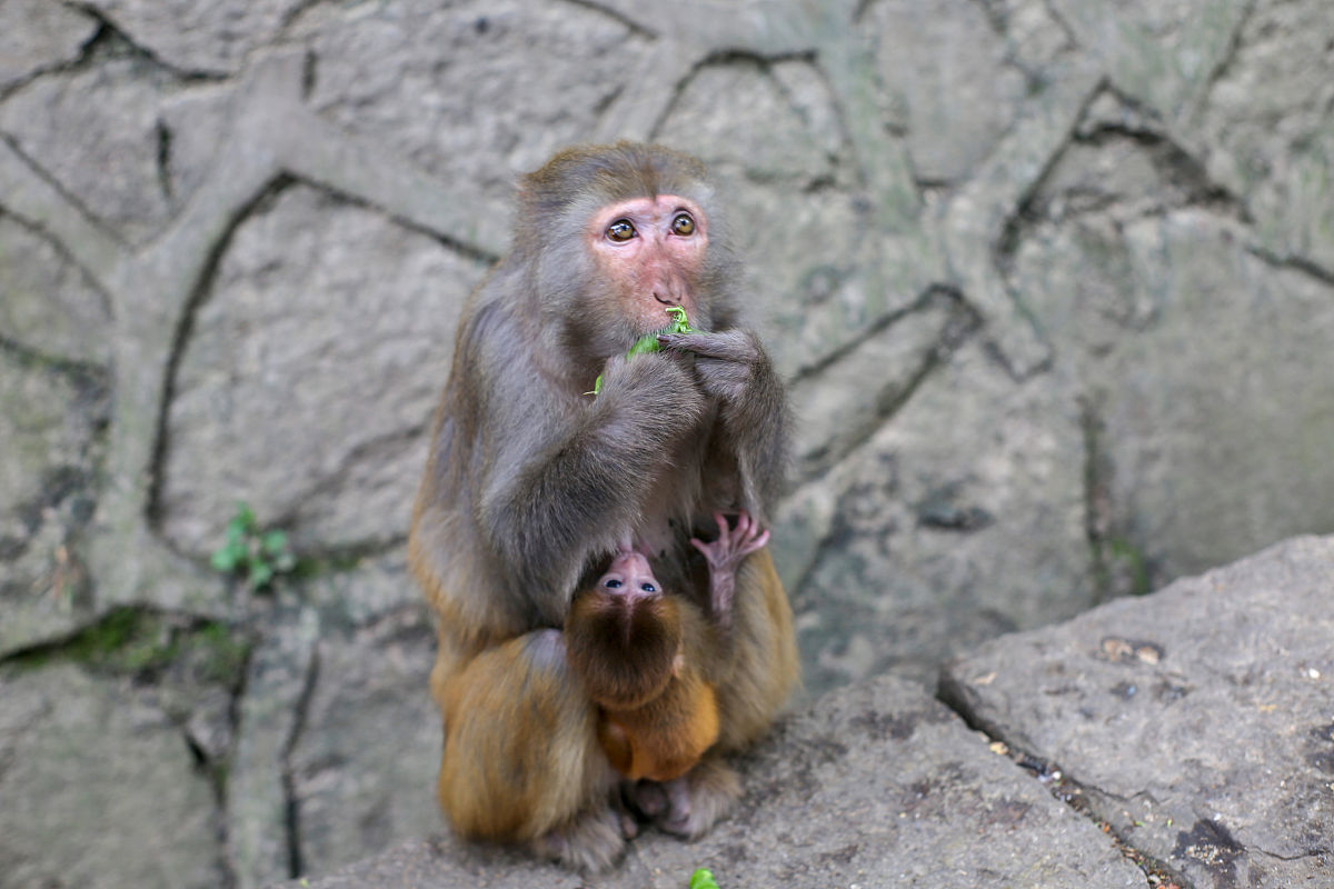 贵阳市职业学校2019年招生简章 - 优质教育资源，助力职业发展
