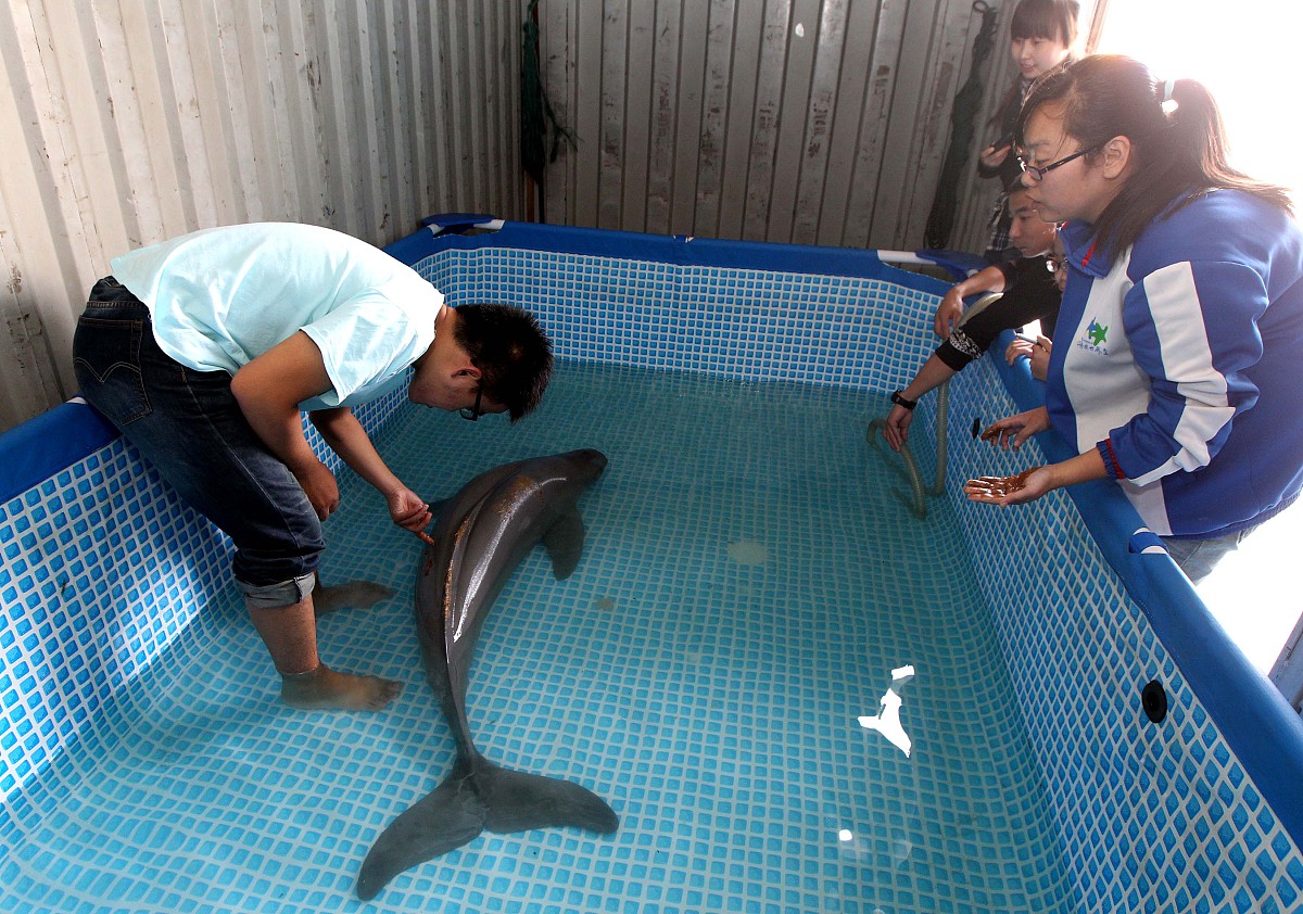 云南省纳税最多的企业？