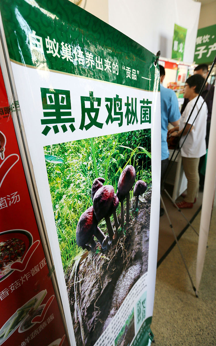 5G+智慧农业在黑皮鸡枞菌栽培中的应用：文献综述
