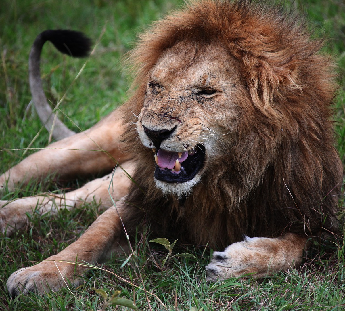 2023年甘肃读幼师学校读什么专业好