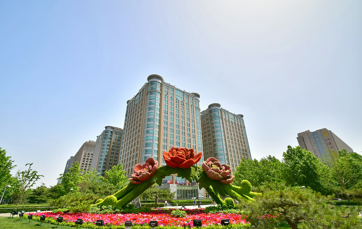 花开富贵成语含义解析：蕴藏的深层哲理