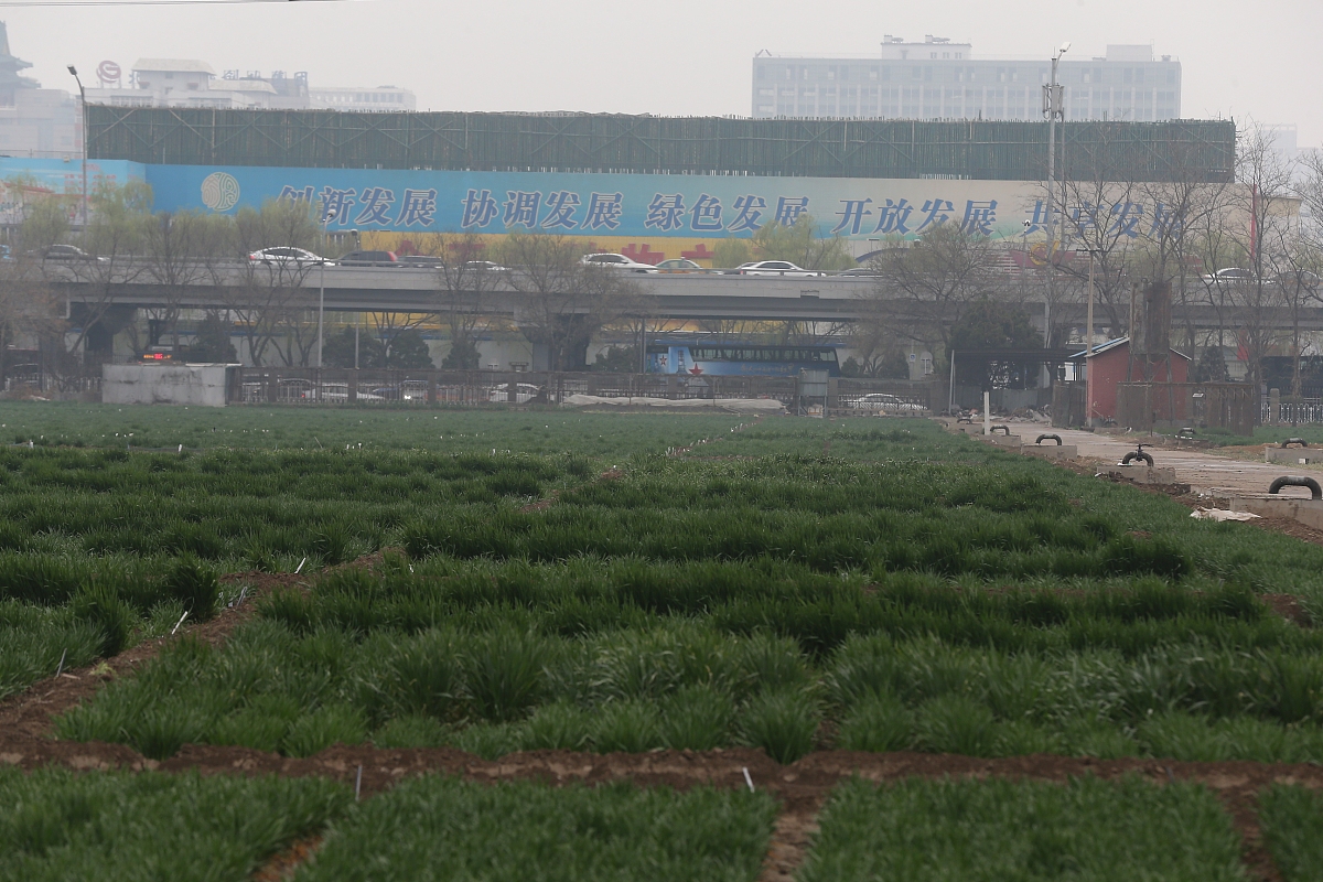 皖北经济技术学校的观光农业经营学习哪些课程