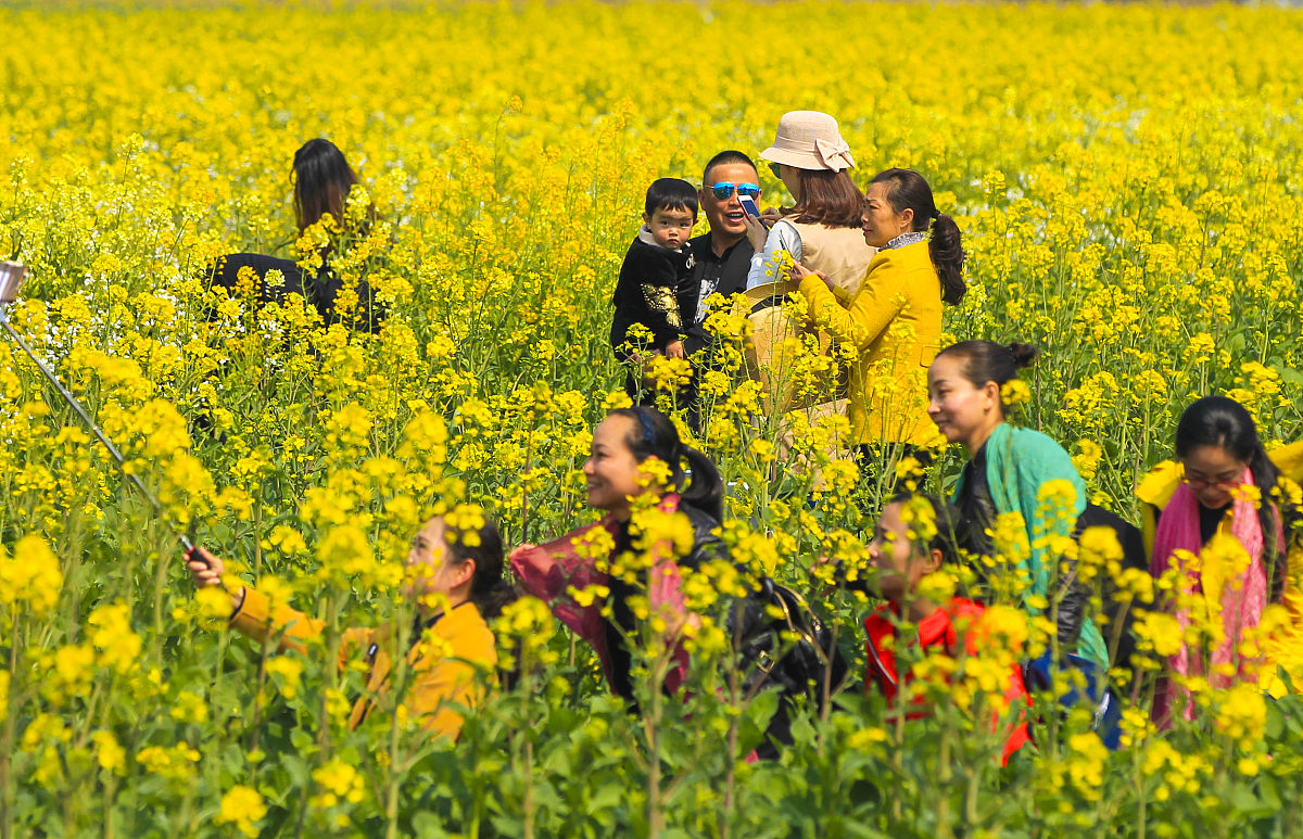 瑞安开元高级中学2021年招生专业都有哪些