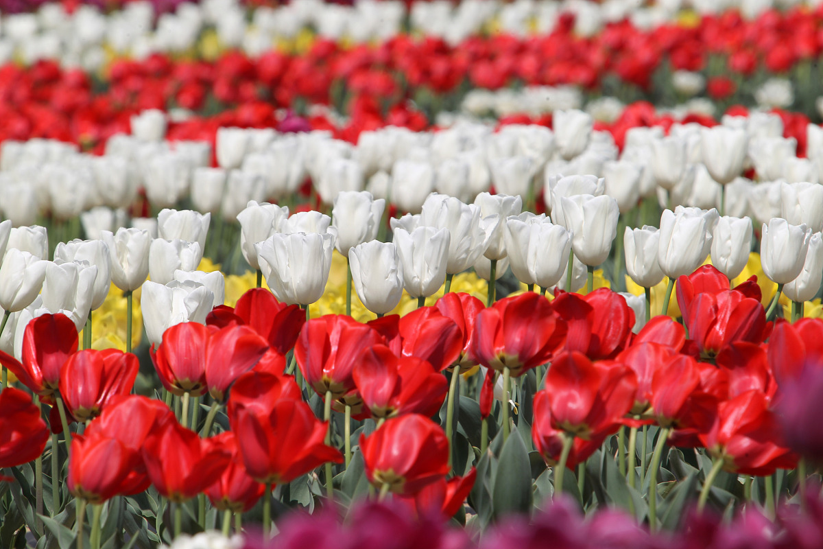 河南省驻马店小学什么时候开学