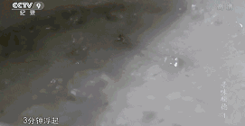 《舌尖3》雖然撲街了，但原班人馬打造的這部美食片值得五星推薦