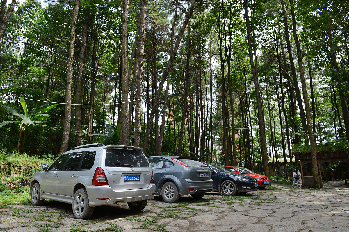 我的侠客手游更新：全新侠客、副本、活动上线！