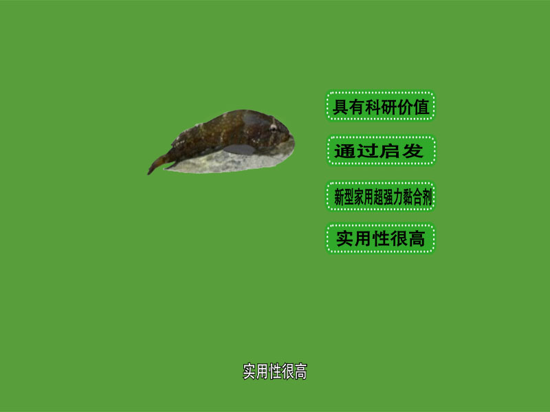 北方小海鱼
