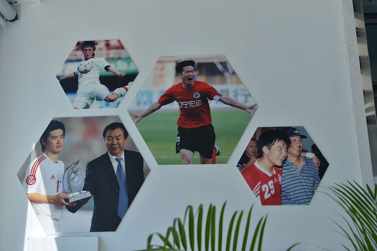 体育明星偶像化：体育发展之悲？