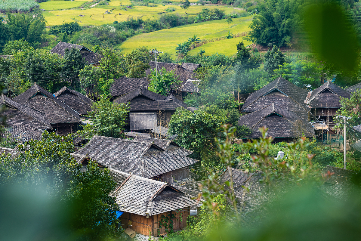 体育非物质文化遗产数字传播现状与优化路径研究