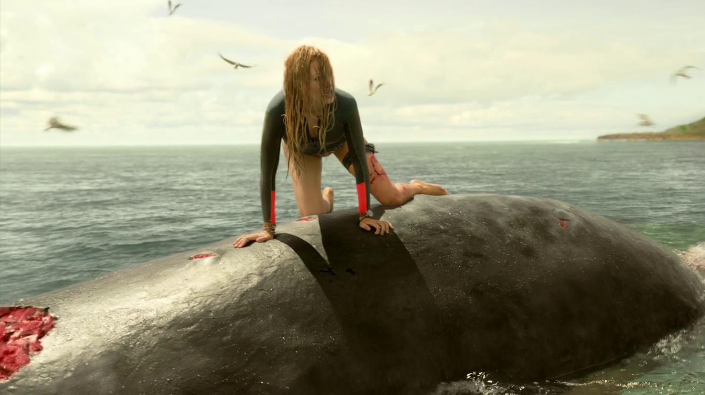 影视:女孩发现鲸鱼尸体,感觉危险靠近,不得不跳上去保命