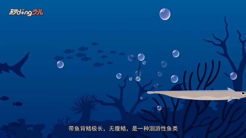 带鱼与刀鱼的区别