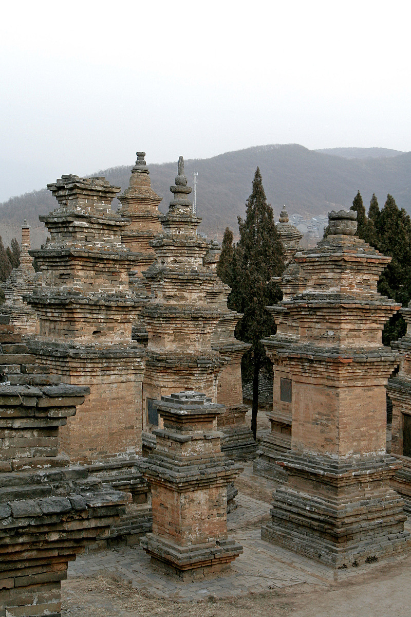 ***_***2009年01月22日, 郑州(河南),少林寺塔林位于河南省登封县少林