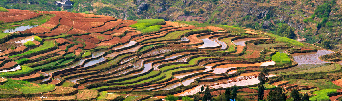 2022年重庆万州旅游职业高级中学招生简章 - 报名时间/条件