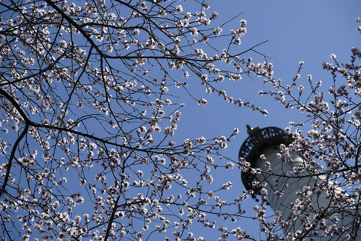 请你写一首关于春天的诗句