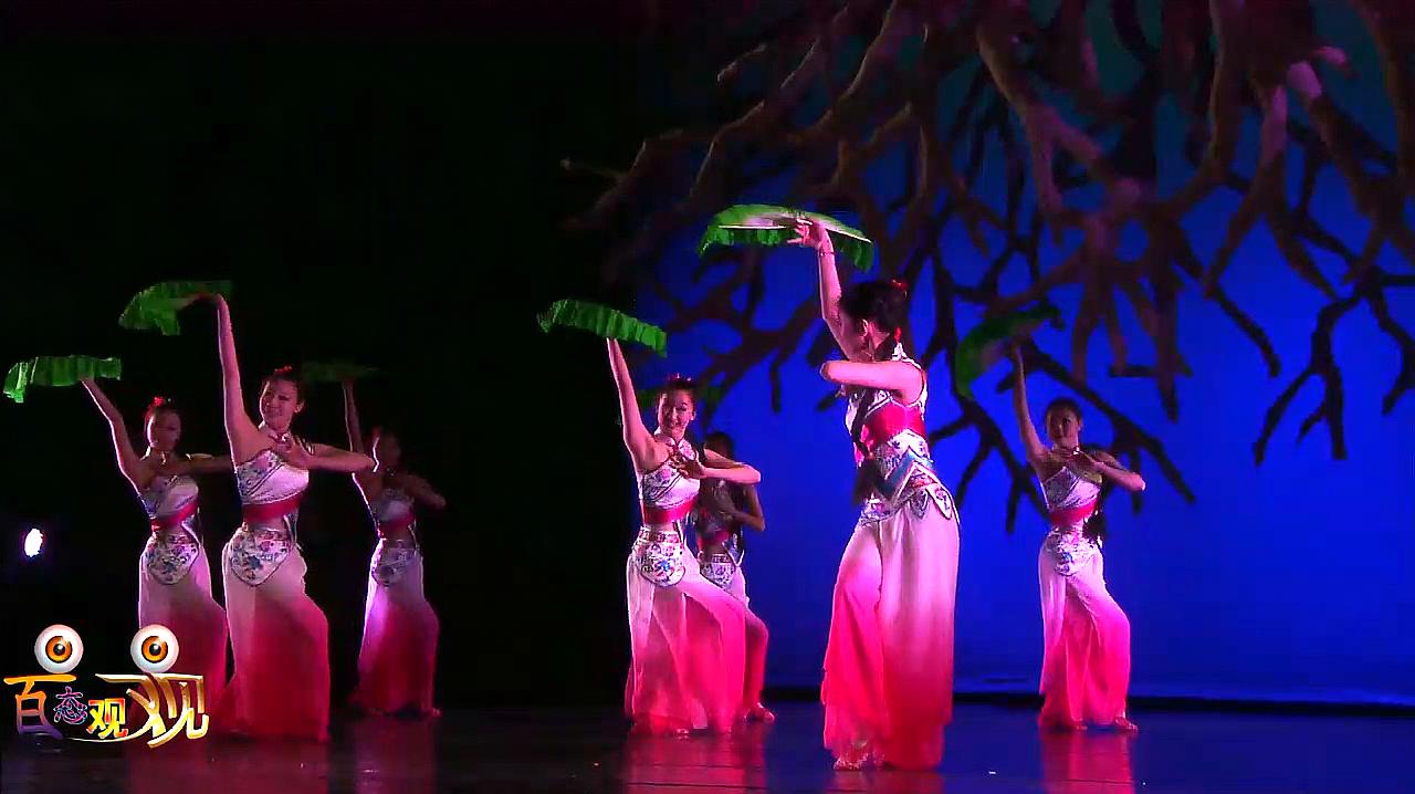专业舞蹈欣赏-北京舞蹈学院民族民间舞舞蹈表演《兰韵情淮》