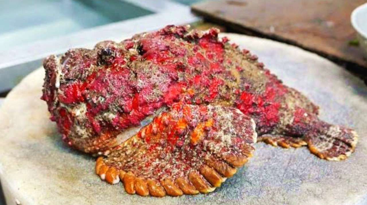 小伙卖“有毒”的石头鱼,120块钱1斤,食客:又贵又硬样子也丑!