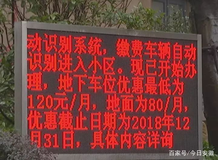 合肥某小区来了60多个保安,还牵狼狗,持棍棒、
