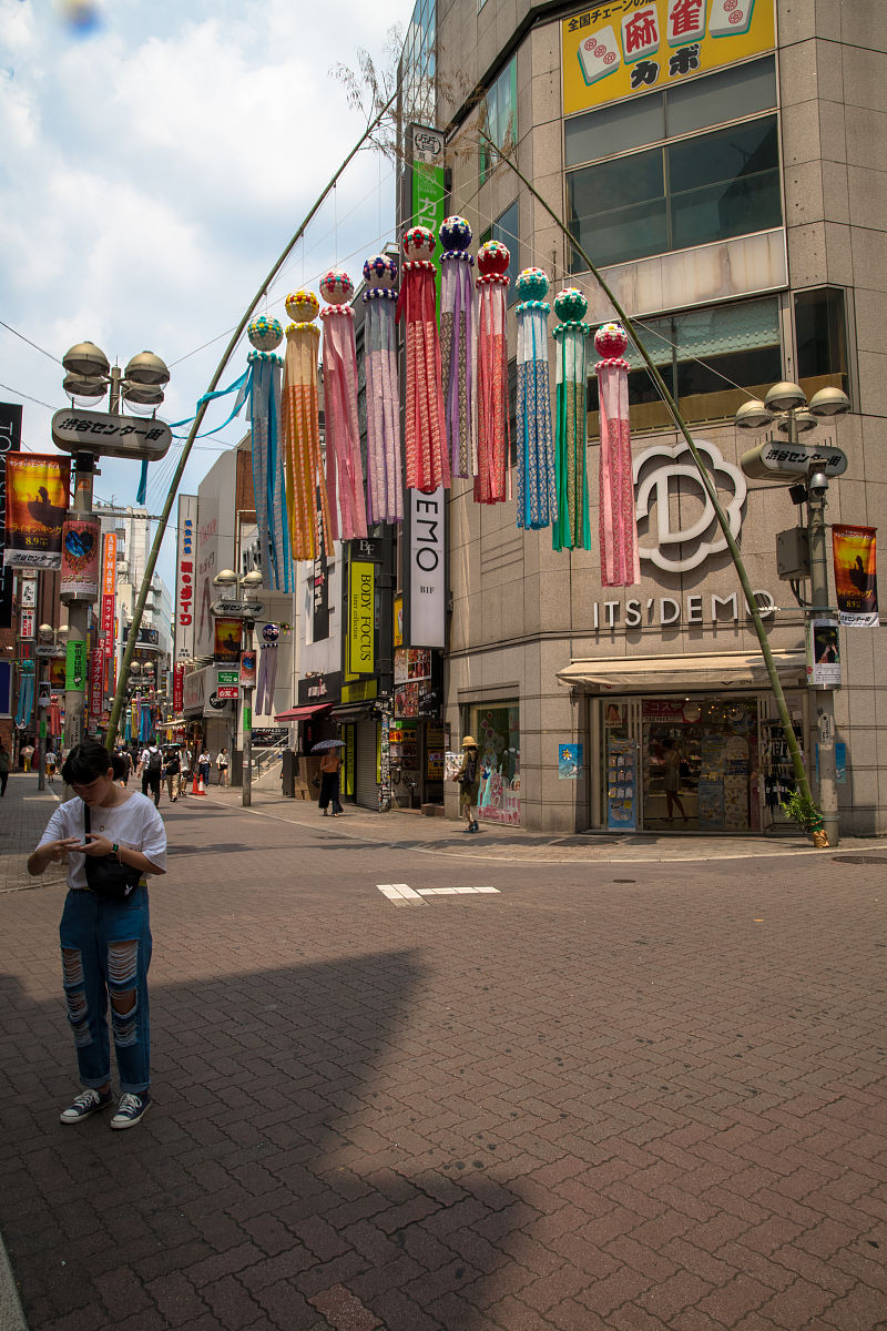 请描写一下一个日本村镇的街道繁荣各色各样的行人慢悠悠的画面