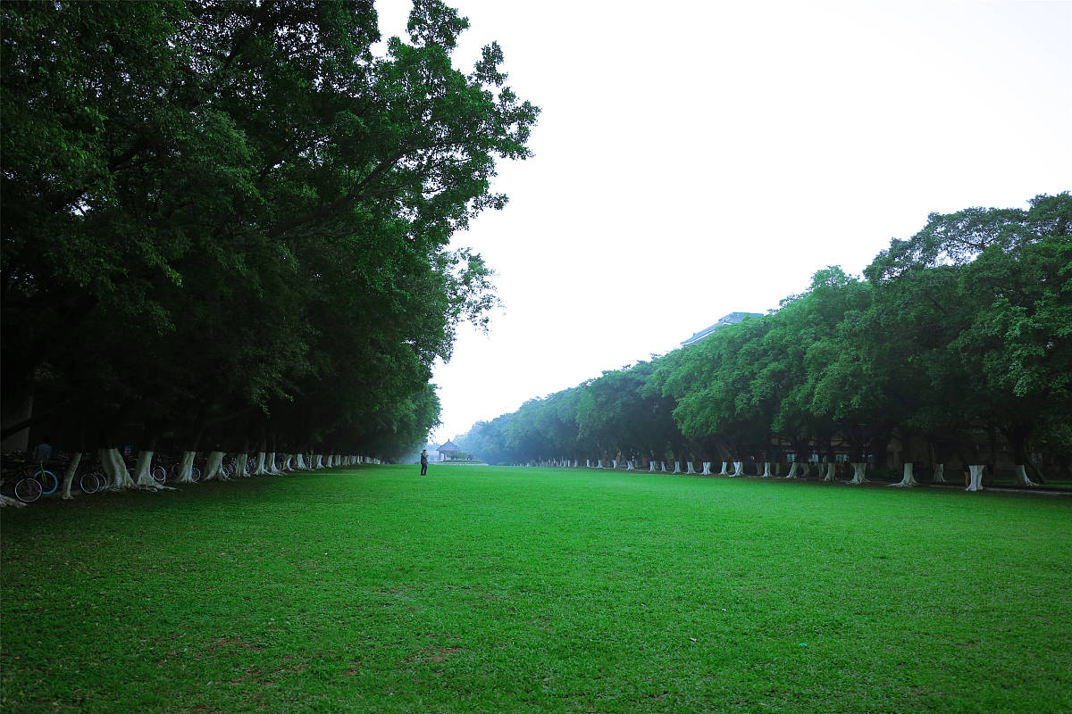 广州华南商贸职业学院财务管理专业就业前景怎么样？