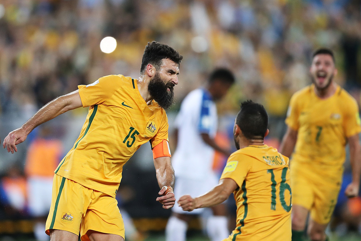 sydney, australia - november 15:  mile jedina<strong>k</strong> of australia