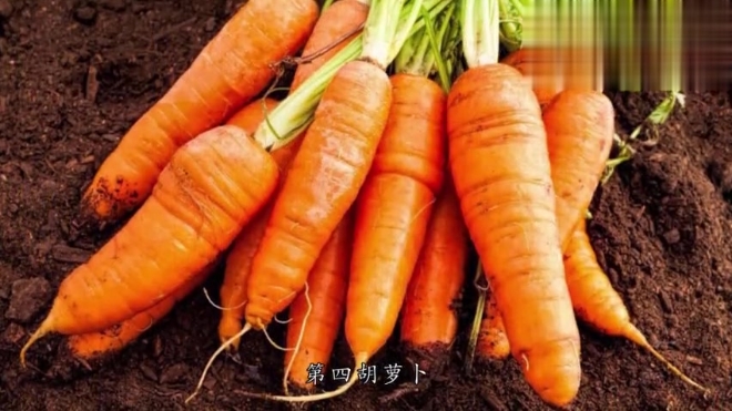 最适合冬天吃的家常素菜,几分钟就能上桌,还超级下饭!