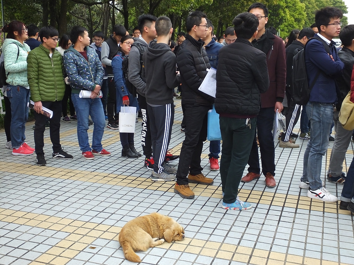 三峡联合职业大学护理专业怎么样