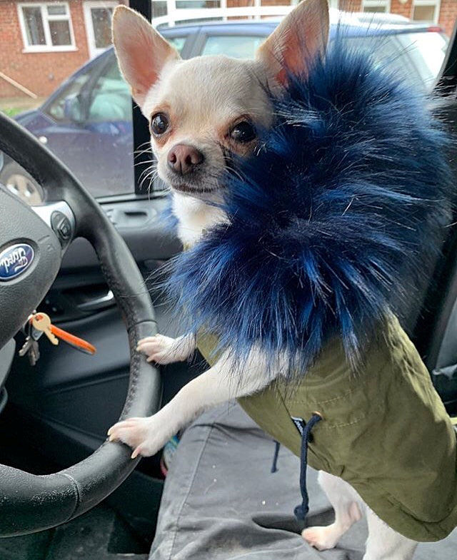 四川省哪些中专的汽车美容专业比较好