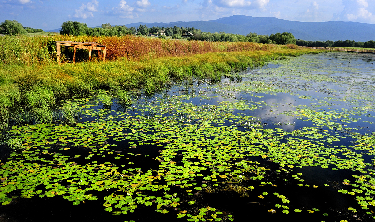 黑龙江生态工程职业学院五年制大专药剂专业怎样