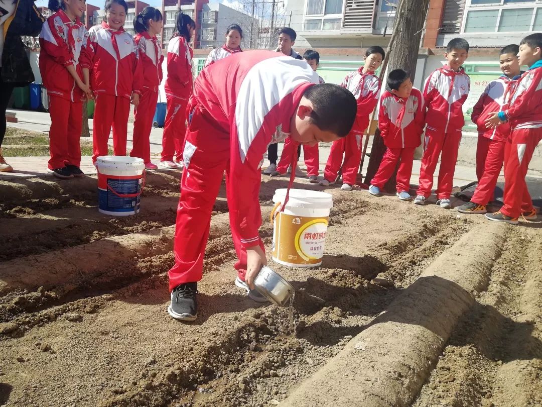 漷县镇中心小学红领巾实践基地体验农耕播种