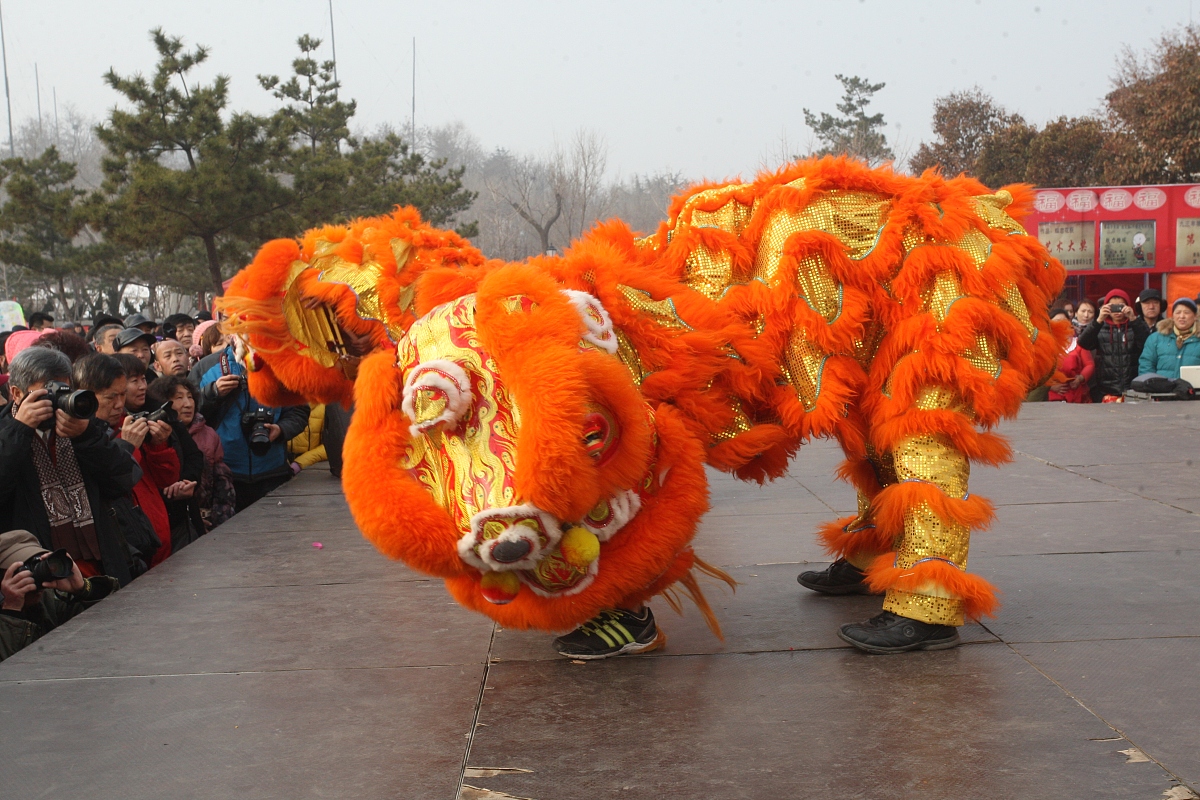 ***_***2013年2月14日,山东省鲁东大学学生舞狮队在烟台毓璜顶庙会上