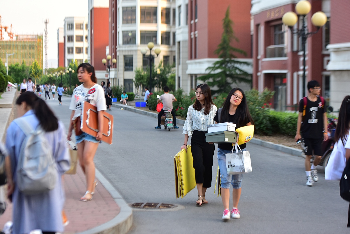 校园地摊经济发展影响调查：问卷分析