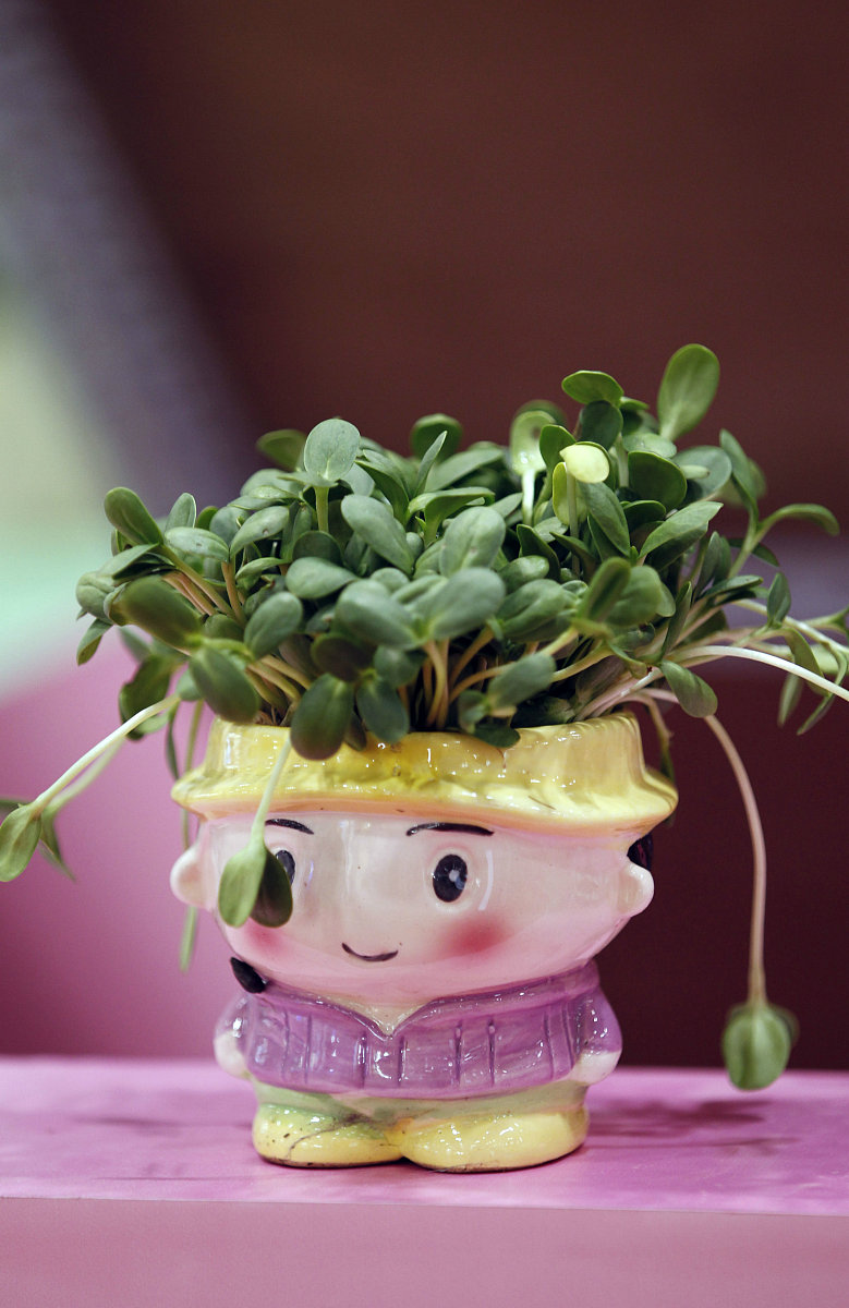 iPhone 12辐射安全吗？解答你的疑问