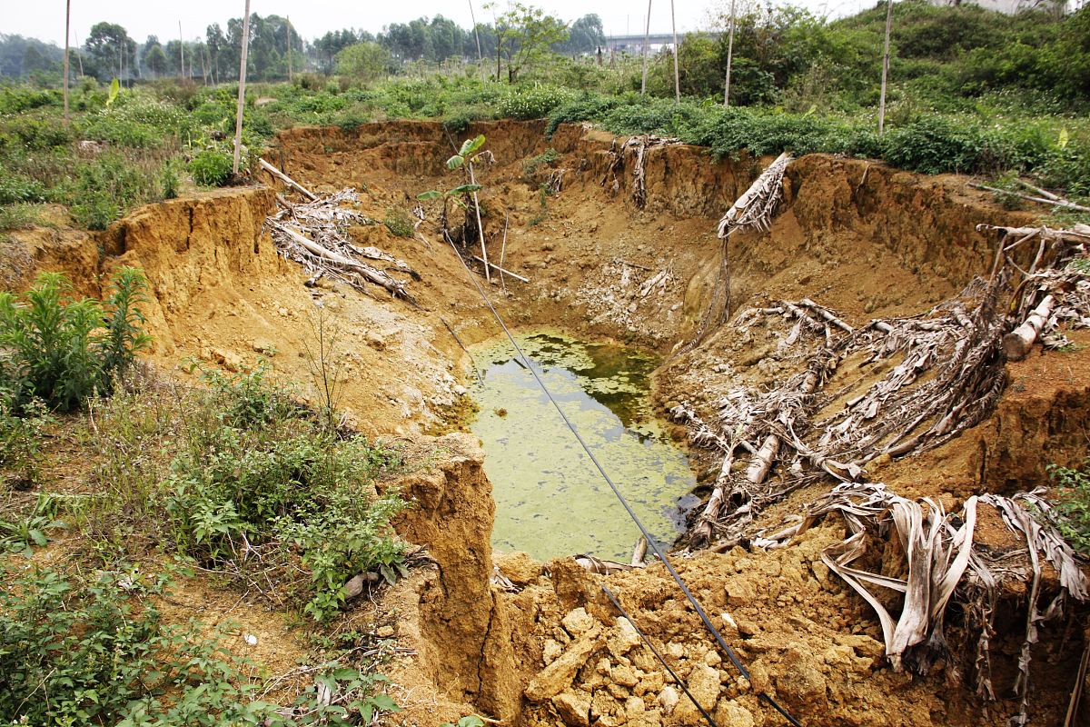个人承包的鱼塘被别人填埋占领打哪个电话