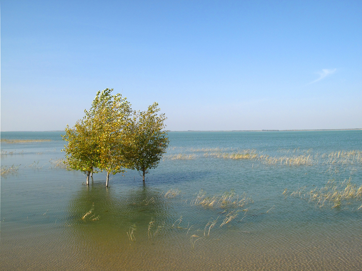2013年10月04日,吉林白城:向海美景***_***吉林省白城市通榆县向海国