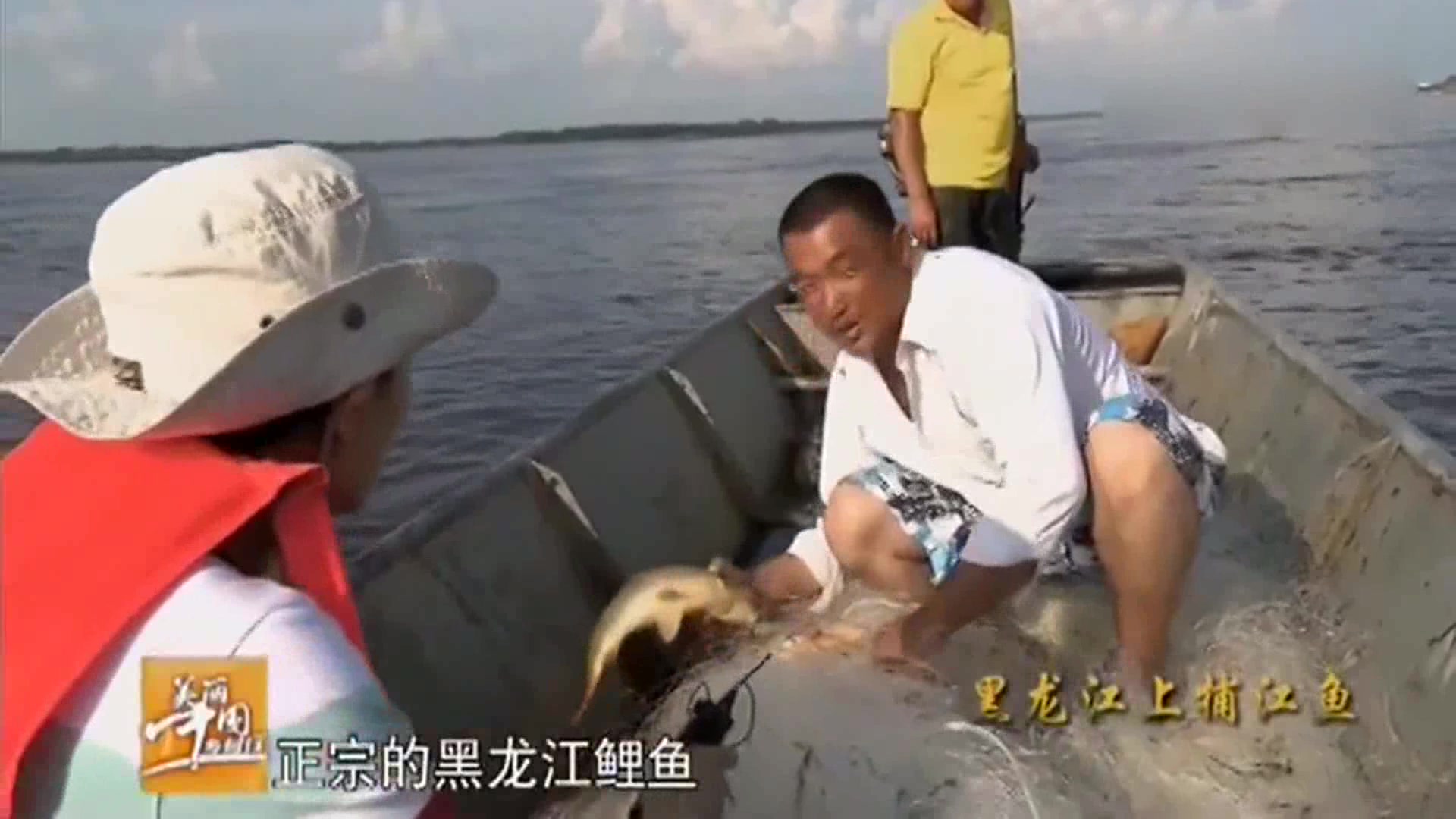 美丽中国乡村行:黑龙江里的野生黄金鲤鱼,五六十一斤,纯天然!