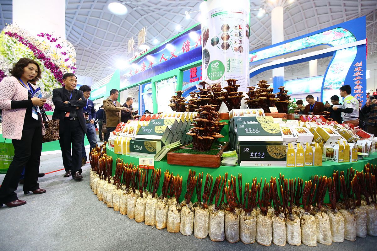 第三方外包人员安全与作业规范