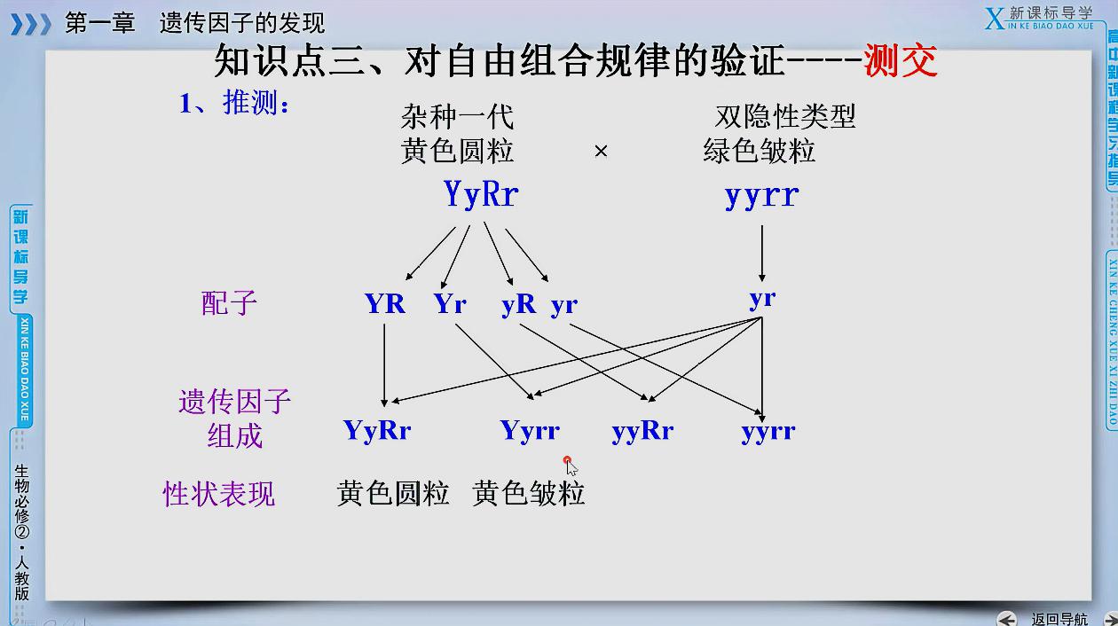 [图]停课不停学1.2.3孟德尔豌豆杂交实验(二)自由组合定律