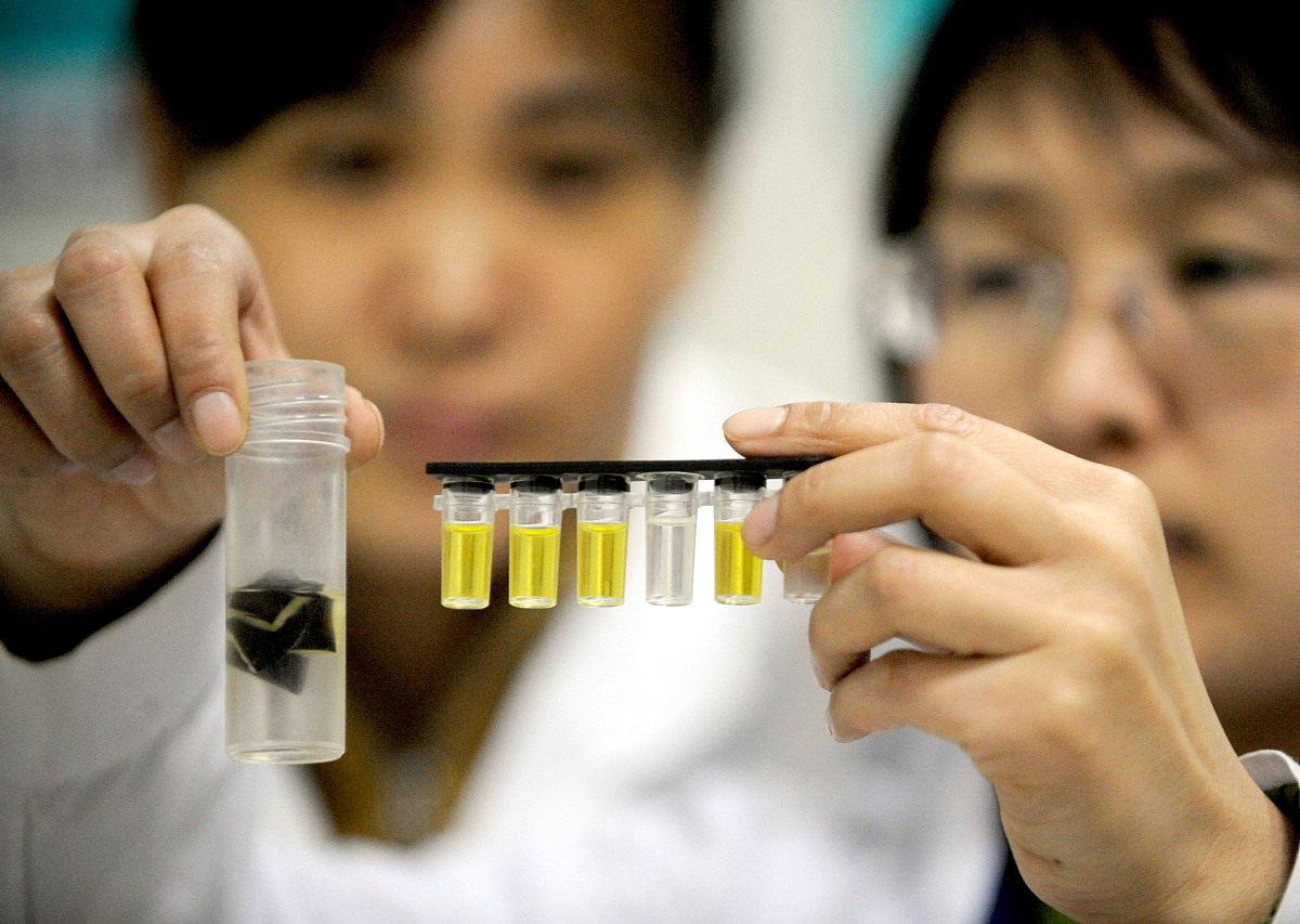 虎杖提取分离游离蒽醌类成分及虎杖苷注意事项