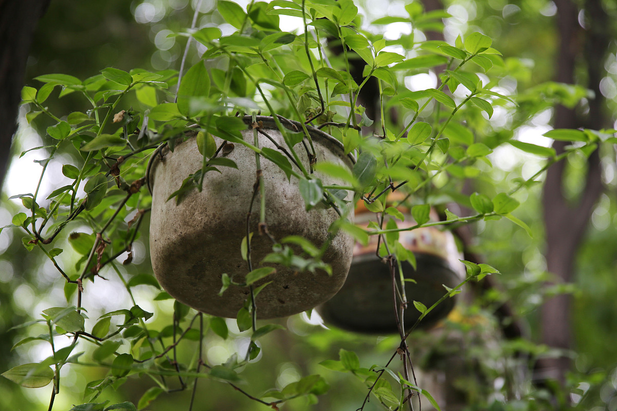 电饭煲内胆有瑕是什么回事 电饭煲内胆有瑕是什么回事