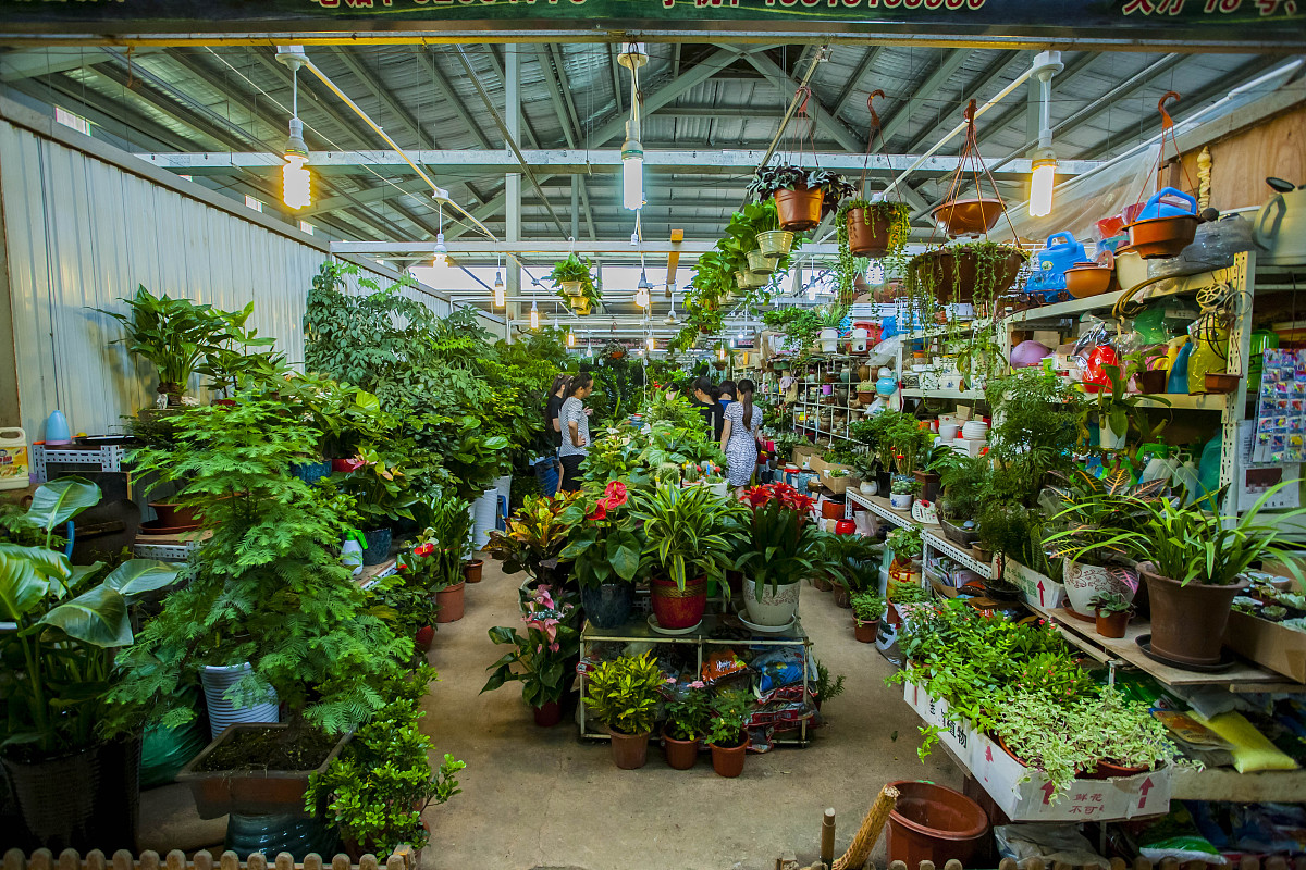餐椅好评文案：舒适体验，好评如潮！