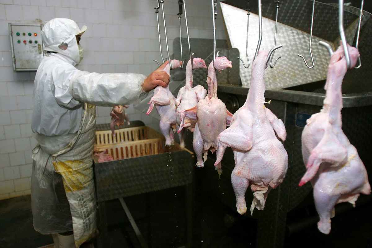 甘肃畜牧工程职业技术学院2023年专业设置：畜牧兽医、机械与电气、产品加工等