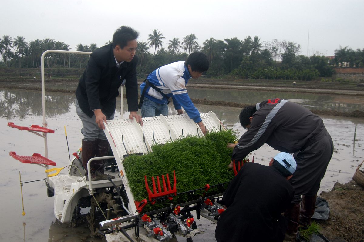 手扶洋马插秧机用最浅插秧还深怎么调整 操作步骤帮我用200字详细描述