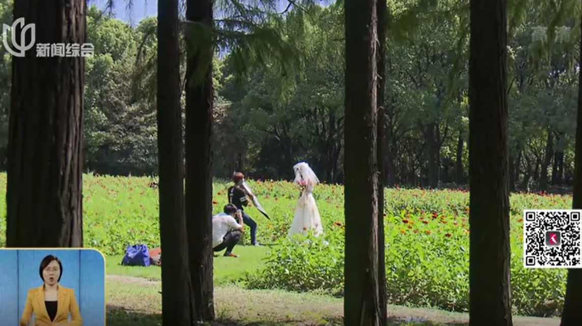 [图]看花海喝啤酒 “都市森林狂欢节”启幕